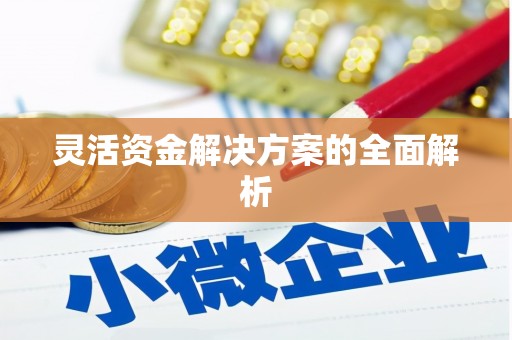 竹东灵活资金解决方案的全面解析