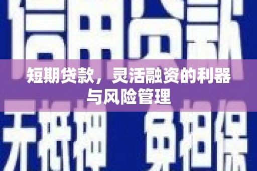 竹东短期贷款，灵活融资的利器与风险管理