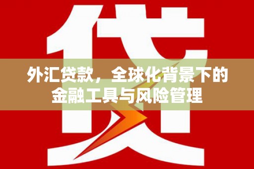 竹东外汇贷款，全球化背景下的金融工具与风险管理