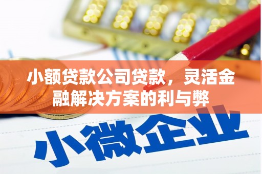 竹东小额贷款公司贷款，灵活金融解决方案的利与弊